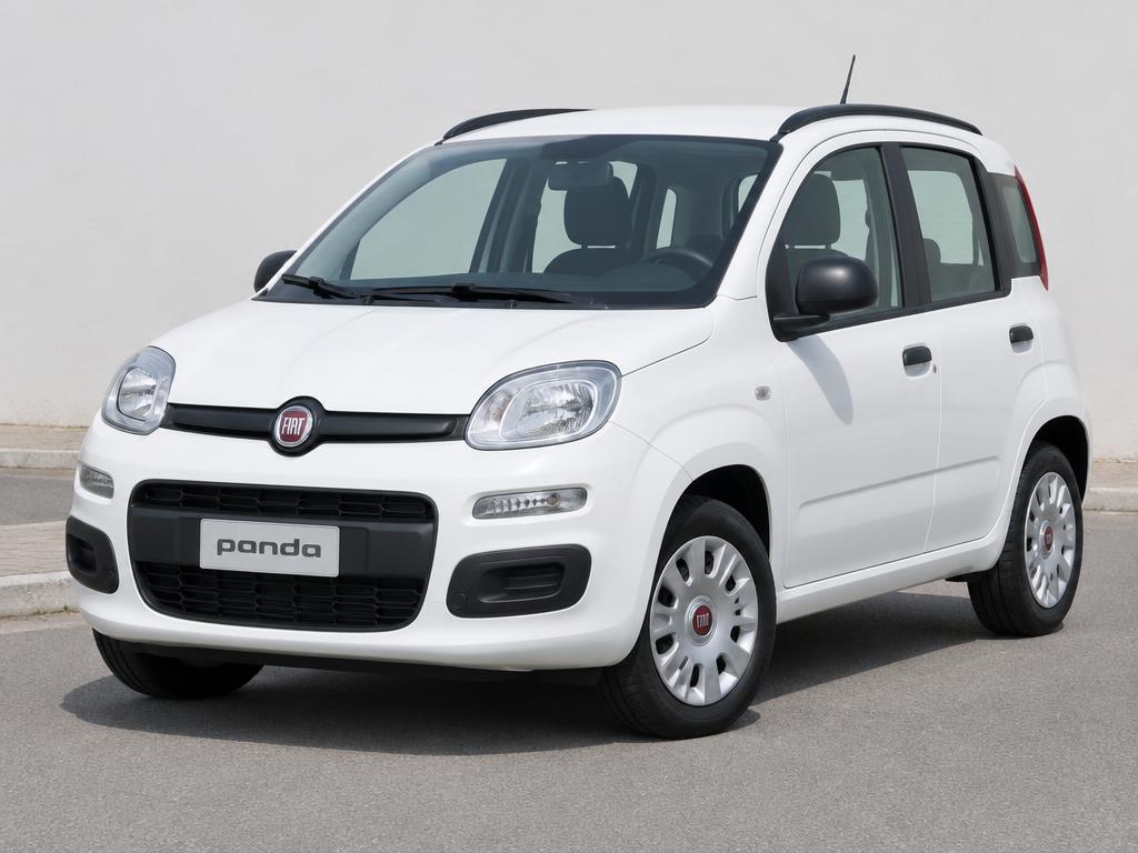 Fiat Panda con doppi comandi